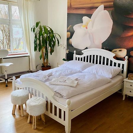 Beauty-Spa Apartment Decin Exterior foto
