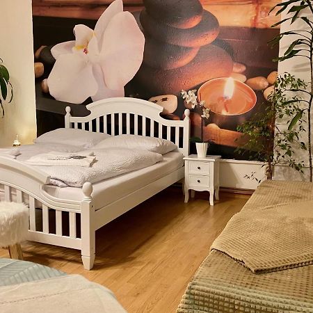 Beauty-Spa Apartment Decin Exterior foto