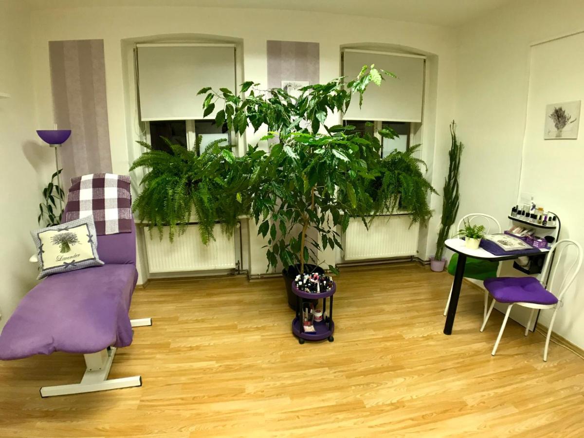 Beauty-Spa Apartment Decin Exterior foto